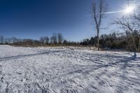 Canada Landscape: Ontario Forest Road