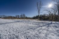 Canada Landscape: Ontario Forest Road