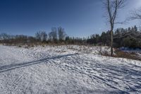 Canada Landscape: Ontario Forest Road