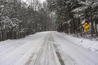 Canada Landscape: Snow-covered Road