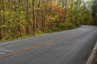 Canada Landscape: Trees and Forest Road