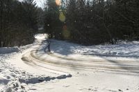 Canada Landscape: Water, Forest, and Snow