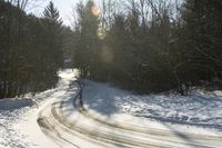 Canada Landscape: Water, Forest, and Snow