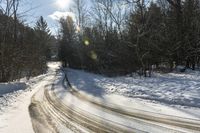 Canada Landscape: Water, Forest, and Snow