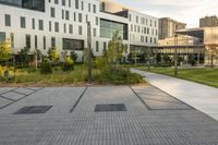 two green square trees on the street between buildings and walkways is shown in front of a building