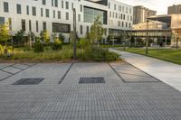 two green square trees on the street between buildings and walkways is shown in front of a building