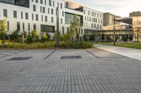 two green square trees on the street between buildings and walkways is shown in front of a building