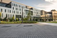 two green square trees on the street between buildings and walkways is shown in front of a building