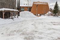 the man is going through the snow to cross the path outside his house, and to enter the cabin and to his side