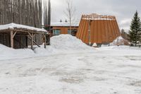 the man is going through the snow to cross the path outside his house, and to enter the cabin and to his side