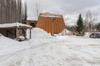 the man is going through the snow to cross the path outside his house, and to enter the cabin and to his side