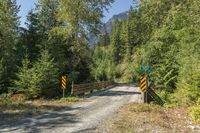 Canada Mountain Forest Nature Road 001