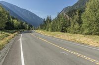 Canada Mountain Forest Road Landscape 001