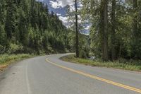 Canada Mountain Road Through Forest and Grass