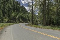 Canada Mountain Road Through Forest and Grass