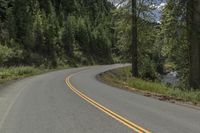 Canada Mountain Road Through Forest and Grass