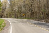 the curve of the road in front of the trees leads to an area with no people