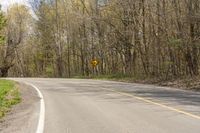 the curve of the road in front of the trees leads to an area with no people