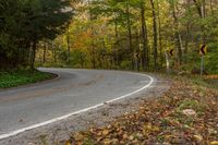 Canada Ontario Asphalt Road through the Forest