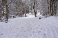 the trail leads up into the trees in the snow, with tracks in the road