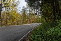 Canada's Ontario Forest Road: Bathed in Sunlight