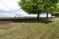 Canada Ontario Green Grass Landscape