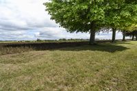 Canada Ontario Green Grass Landscape