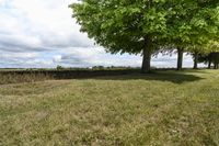 Canada Ontario Green Grass Landscape