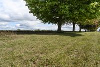 Canada Ontario Green Grass Landscape