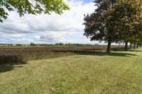 Canada Ontario Green Grass Landscape