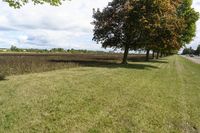 Canada Ontario Green Grass Landscape