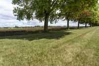 Canada Ontario Green Grass Landscape