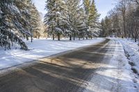 Canada's Ontario Landscape: Asphalt Road Through the Forest