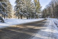 Canada's Ontario Landscape: Asphalt Road Through the Forest