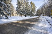 Canada's Ontario Landscape: Asphalt Road Through the Forest