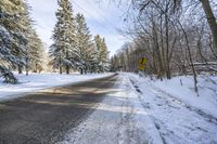 Canada's Ontario Landscape: Asphalt Road Through the Forest