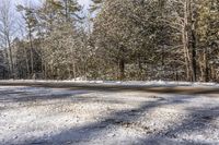 Canada Ontario Landscape: Asphalt Road Through Nature