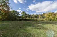 Canada Ontario Landscape: A Forest in Nature