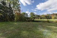 Canada Ontario Landscape: A Forest in Nature