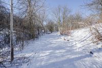 Canada Ontario Landscape: Forest Road