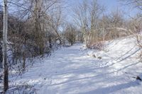 Canada Ontario Landscape: Forest Road