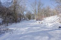 Canada Ontario Landscape: Forest Road