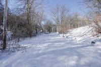 Canada Ontario Landscape: Forest Road