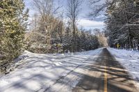 Canada Ontario Landscape: Snow-covered Road Through Forest