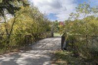 a wooden bridge over a paved path in the autumntime with fall foliage and a path winding through it