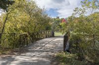 a wooden bridge over a paved path in the autumntime with fall foliage and a path winding through it