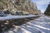 Canada Ontario Landscape: Road through Asphalt Forest