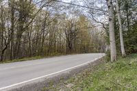 a man on a bike is riding a motorcycle in the woods near some trees with no leaves