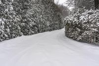 Canada, Ontario Landscape: Snow Covered Road