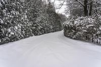 Canada, Ontario Landscape: Snow Covered Road